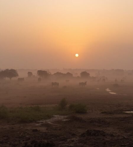 Mercy in the Everyday